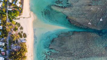 Abandonan a su suerte a un rebaño de vacas en una isla desierta hace 130 años y un estudio genético deja a los investigadores descolocados