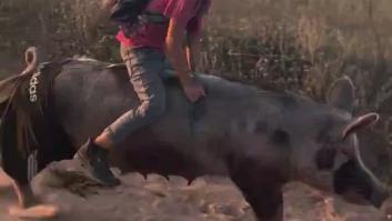 Un cerdo con pantalones corre a toda velocidad con un niño montado encima
