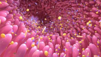 Una médica apunta al intestino como el responsable de producir el 90% de nuestra felicidad