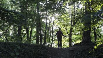 Se pierde en el bosque y acaba sobreviviendo tres semanas en las montañas alimentándose de un solo producto
