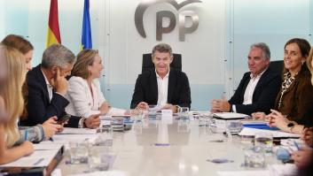 El Constitucional avala la amnistía y afea al PP una postura "incompatible con una Constitución" plural