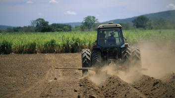 Los jóvenes invaden los campos para montar una fiesta ilegal, el agricultor saca su tractor y toma cartas en el asunto