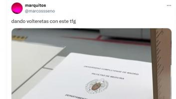 Un alumno entrega este TFG y su tema deja a todos alucinando: de lo más surrealista que se ha visto
