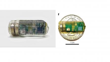 Imágenes del sensor ingerible desarrollado por investigadores del MIT y de Caltech.