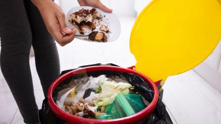 Close-up Of A Woman's Hand Throwing Cake In Trash Bin