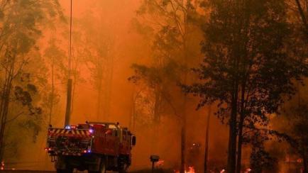 Devastadores incendios en Australia.