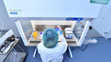 05 March 2019, Thuringia, Gera-Leumnitz: Daniela Lauer, laboratory assistant at Biotech-Startup BianoGMP GmbH, pipettes a liquid in the company's clean room. The company will develop and produce novel DNA- and RNA-based active substances on beha...