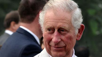 NEW DELHI, INDIA - (ARCHIVE) : A file photo dated on November 8, 2017 shows the Prince of Wales, Charles attends the Elephant Family charity event held at the British High Commissioner's Residence in New Delhi, India on in New Delhi, India. Prin...