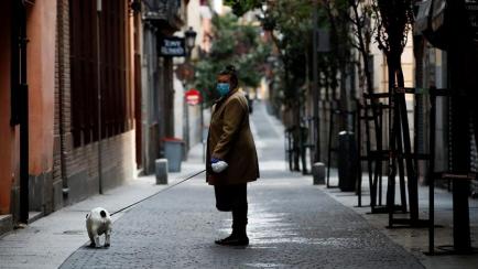Una persona pasea a su perro en una calle vaciada por el confinamiento