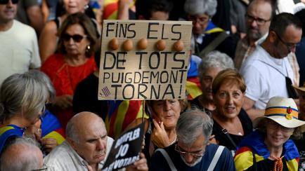 Una pancarta en la manifestación de la Diada reza "hasta los huevos de todos, ¡Puigdemont, vuelve!".