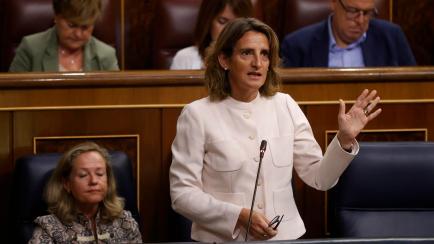 La ministra de Transición Ecológica y Reto Demográfico, Teresa Ribera, este miércoles durante la sesión de control al Gobierno en el Congreso de los diputados.