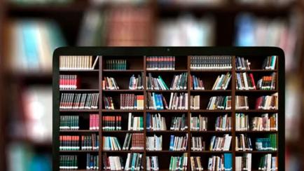 Las bibliotecas deben armonizar lo presencial ocn lo digital y ser centros culturales y comunitarios.