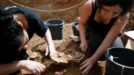 Excavación en Nesher Ramla