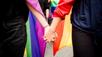 Pareja agarrada de la mano con la bandera LGTBI