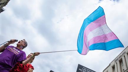 Una persona sostiene una bandera del orgullo trans.