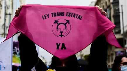 Manifestantes a favor de la Ley Trans
