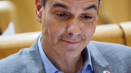Pedro Sánchez, en el Senado.