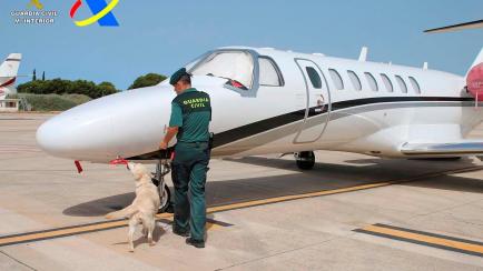 Agentes de Vigilancia Aduanera y la Guardia Civil han detenido en el aeropuerto de Ibiza a un hombre de 33 años por supuesto tráfico de drogas que transportaba en el jet privado en el que ha aterrizado en la isla balear