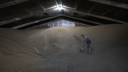 Preparativo del transporte de grano en el puerto de Odessa 