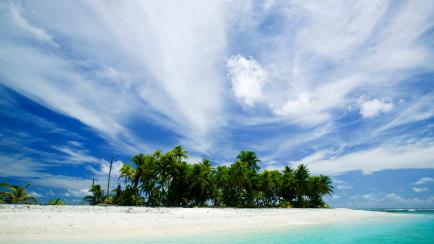 A small palm fringed island off funafuti, Tuvalu.