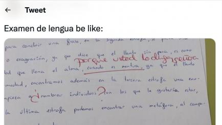 Captura con parte de un examen de Lengua.