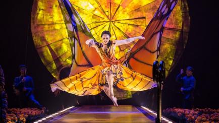 Inicio de 'LUZIA'.