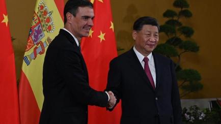 Sánchez y Xi, en su encuentro