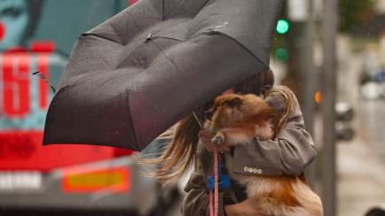 Una mujer caminando con su perro en Madrid, durante el episodio de tormentas por la última DANA.