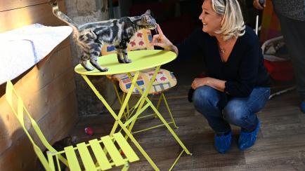 Marine Le Pen juega con un gato en su visita a un refugio para animales maltratados en 2020. 