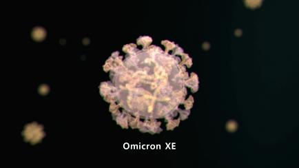 La variante XE del coronavirus.