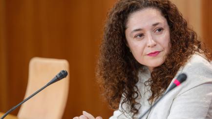  Inmaculada Nieto, en el Parlamento Andaluz