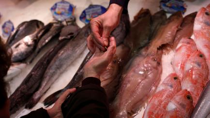 A woman receives change from a fishmonger at a market stall in Madrid January 29, 2013. Spanish retail sales fell for the 30th month in a row in December, data showed on Tuesday, with a hike in sales tax deterring shoppers already suffering from...