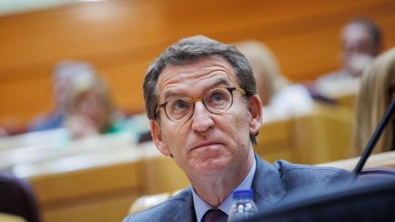Alberto Núñez Feijóo, en el Senado.