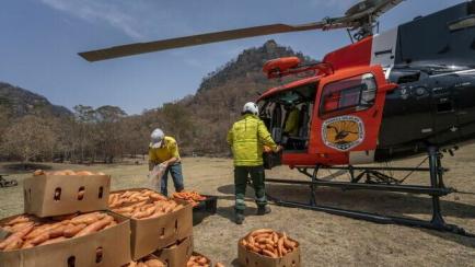 Australia lanza desde el helicóptero comida para los animales.