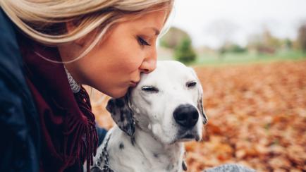 Closeup of happy owner woman kissing dog in autumn park