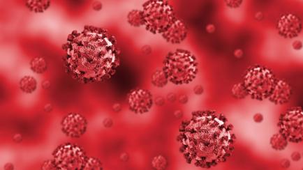 Corona Virus In Red Background - Microbiology And Virology Concept