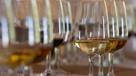Cata de vinos de Jerez.