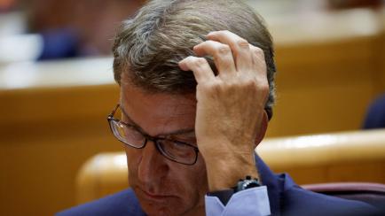 El presidente del PP, Alberto Núñez Feijóo.
