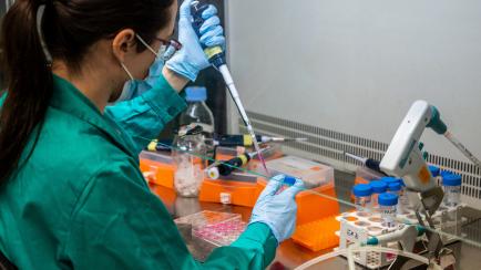 Una científica del Centro de Investigaciones Biológicas Margarita Salas.