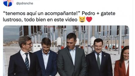 El momento viral de Pedro Sánchez.