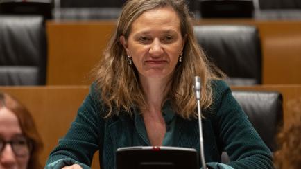 La delegada del Gobierno contra la Violencia de Género, Victoria Rosell, durante una comparecencia
