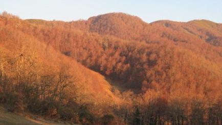 Cantabria