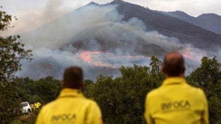 Varios medios intentan extinguir el incendio de Sierra Bermeja, este lunes.