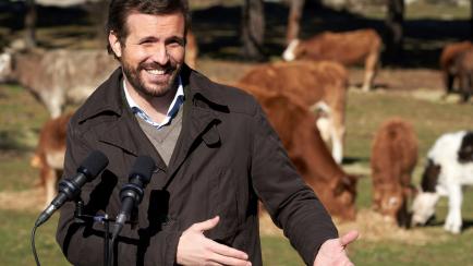 El presidente del Partido Popular, Pablo Casado, durante la visita a una explotación ganadería extensiva en Las Navas del Marqués (Ávila).