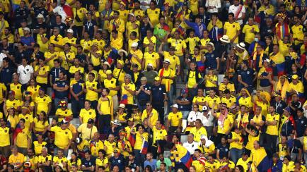 DOHA, QATAR - NOVEMBER 25: Ecuador fans show their support during the FIFA World Cup Qatar 2022 Group A match between Netherlands and Ecuador at Khalifa International Stadium on November 25, 2022 in Doha, Qatar. (Photo by Lars Baron/Getty Images)
