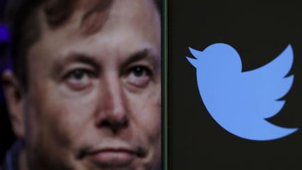 Elon Musk junto al logo de Twitter.