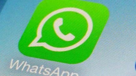 Icono de la aplicación de WhatsApp en un teléfono móvil 