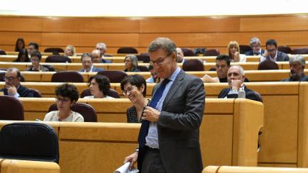 Alberto Núñez Feijóo, en el Senado, en una imagen de septiembre.