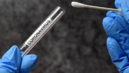 COVID sample test