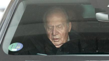 El rey Juan Carlos el pasado 29 de enero.